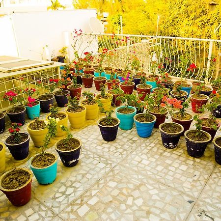 Bed and Breakfast Safarnama Agra Agra  Exterior foto